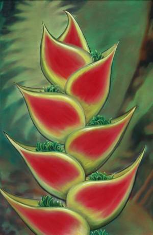 "Heliconia"